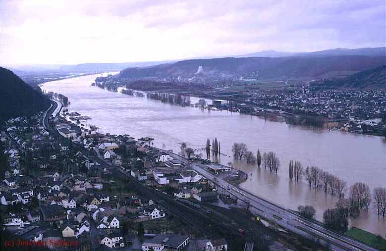 Rheinhochwasser